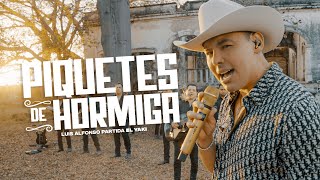 Luis Alfonso Partida "El Yaki" - Piquetes de hormiga (Video Oficial)