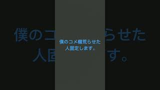 コメ欄荒らせたら固定や得意やろ〜 #youtube