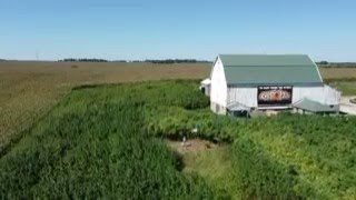 Minnesota’s Only Hemp Maze Aims To Help Cannabis Education