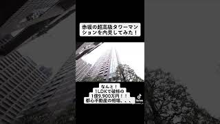 赤坂の超高級タワーマンションを内見！なんと、1LDKで1億9,900万円！不動産相場がわかりません、、＠ゆっくり不動産＠あなたの理想不動産#タワマン#高級マンション#都心マンション#ルームツアー