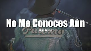Palomo - No Me Conoces Aún (LETRA)
