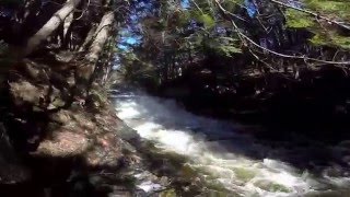 Rhodenizer Brook Fall, Nova Scotia