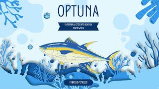 Optuna - Hyperparameter Optimization Framework