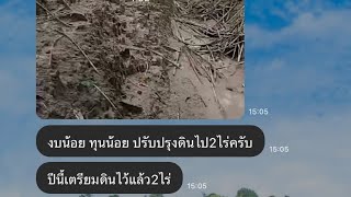 งบน้อย ทุนน้อย ก็ทำได้ การปรับปรุงดินตามแนวทางอาจารย์ประภาส #มันสำปะหลัง #ปูนน้ำ #อัลตร้ากรีน