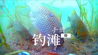 春钓浅滩使用手册，多年观测与垂钓经验总结，全干货输出