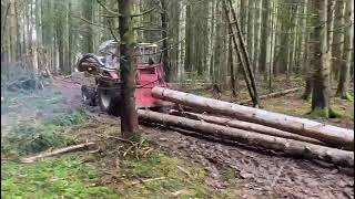 Kramer 514 beim Holzrücken