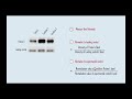 quantification of protein bands using imagej for beginners western blot protein quantification