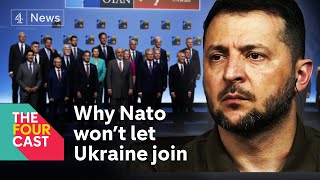 Why Ukraine isn't joining Nato - expert explains