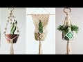 hanging plants for any space transform your home or garden