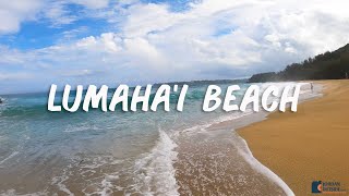 Lumaha'i Beach is a beautiful beach located on the north shore of Kauai, Hawaii