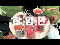 ep02.어서와 개터파크는 처음이지 도그베이•애견동반수영장