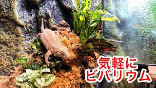 気軽にヤモリのビバリウムを作る方法