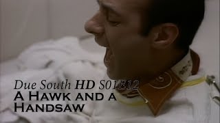 Due South HD - S01E12 - A Hawk and a Handsaw