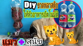 🐈Diyที่ให้หัวอาหารสุนัข,แมวอัตโนมัติจากขวดพลาสติกง่ายๆ/พ่อบ้านยุคใหม่/🐈