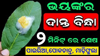 ୨ ମିନିଟରେ (ଦାନ୍ତବିନ୍ଧା,ପୋକ ଦାନ୍ତ, ମାଢ଼ିରୁ ରକ୍ତ ପଡିବା) ଭଲ ହୋଇଯିବ| Toothache Home Remedies #Cavity