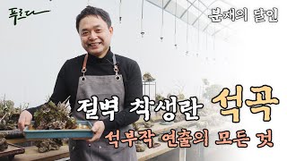 초보자를 위한 석곡으로 석부작 만드는 방법! 하나부터 열까지 10분 순삭 │푸르다마켓X플랜토피아│