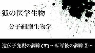 分子細胞生物学44 遺伝子発現の調節(7)〜転写後の調節②〜