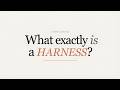 What is an Agent Harness? and How to build a great one!