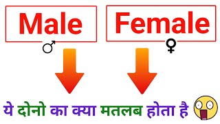 Male Female Ka Matlab Kya Hota Hai | Gender Main kya select karen