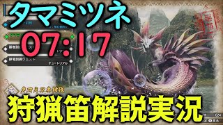 狩猟笛 立ち回り基礎コンボ解説 タマミツネ07:17【モンハンRISE】