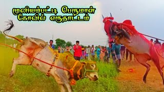 🌋💫Muniyampatti Eruthattam | முனியம்பட்டி🔱பெருமாள் கோவில் எருதாட்டம் | தமிழ் மாணவன்