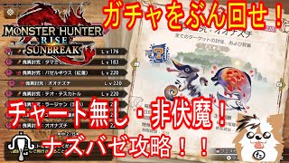 【MHR:SB】ナズバゼ攻略！アプデまでにやっておきたい精気琥珀＆傀異素材集め！【モンハンライズ】【サンブレイク】