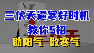 三伏天逼寒好时机！教你5招，助阳气，散寒气