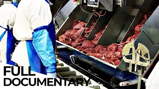 The Meat Lobby: Inside the Abyss of an Industry | ENDEVR Documentary