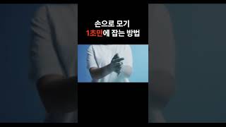 손으로 모기 1초만에 잡는 방법