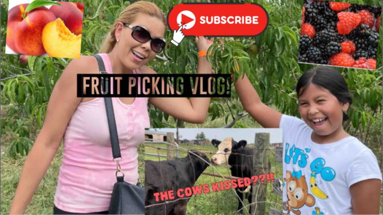 Picking Fruits Vlog Youtube