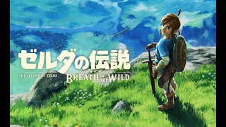 これがNO.1の神ゲー マスターモードに挑む!! 【ゼルダの伝説 BREATH OF THE WILD】#1