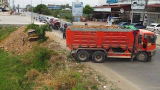 Wonderful Technique.! Dump Trucks And MITSUBISHI Dozer filling Flooded land Next to the road.