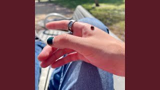 The Bug Collector