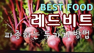 [텃밭농부.529]  비트 봄파종하기.3월.귀농귀촌