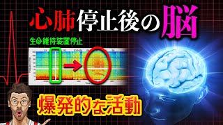 【2023年最新】遂に判明！死の前後、脳で爆発的な活動があると報告！ 走馬灯 臨死体験 幽体離脱