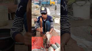 wow amazing expert tilapia fish cutting skills #fishcuttingskills #speedcutting #shorts