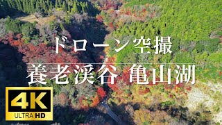 【ドローン空撮】4K 養老渓谷・亀山湖の紅葉　粟又の滝、筒森もみじ谷、大滝町、君津、千葉【関東穴場紅葉スポット】