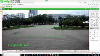 Tiandy VCA Function: Perimeter