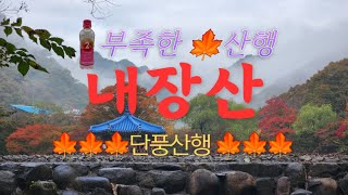 내장산 단풍구경 하고 왔습니다. /내장산/내장사/까치봉/신선봉