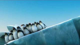 De Lijn Pinguins reclame