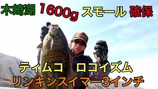 リンキンスイマー3で木崎湖スモールマウスバス1600g確保！