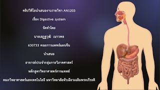 กายวิภาคศาสตร์ เรื่อง ระบบย่อยอาหาร Digestive system