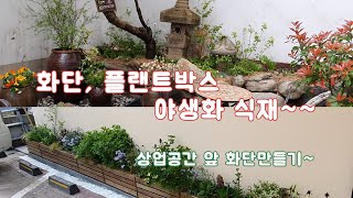 화단과 플랜트박스에 야생화 심기~ /정원/조경/