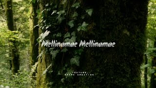 Melliname Melliname | Tamil Cover Song | Shahjahan | Spark Creation