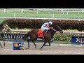 Gulfstream Park Replay Show | February 14, 2016