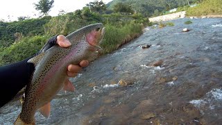 fly fishing Korea 69#    길고 긴 장마의 끝...