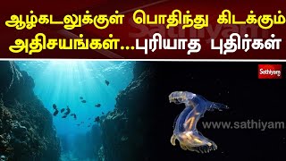 ஆழ்கடலுக்குள் பொதிந்து கிடக்கும் அதிசயங்கள் - புரியாத புதிர்கள்  | Sea | Sathiyam Tv News