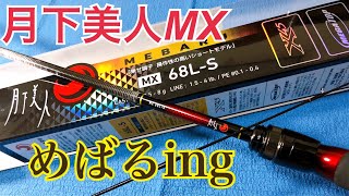 DAIWA メバリングロッド月下美人MX68L-S買いました