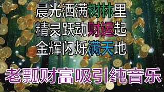 【金钱吸引力音乐】晨光洒满树林里，精灵跃动财运起，金辉闪烁满天地|Money Magnet Music|Morning light fills the woods