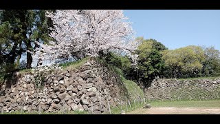 船田合戦の地　（美濃を治めた土岐氏斎藤氏　ゆかりの地を巡ろう）